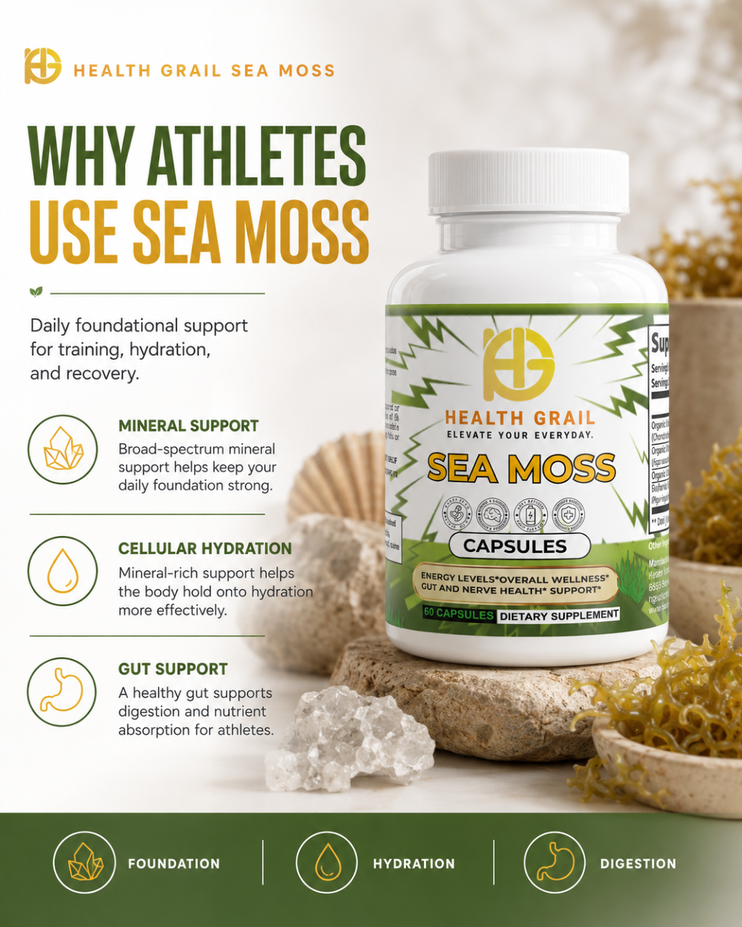 Sea Moss