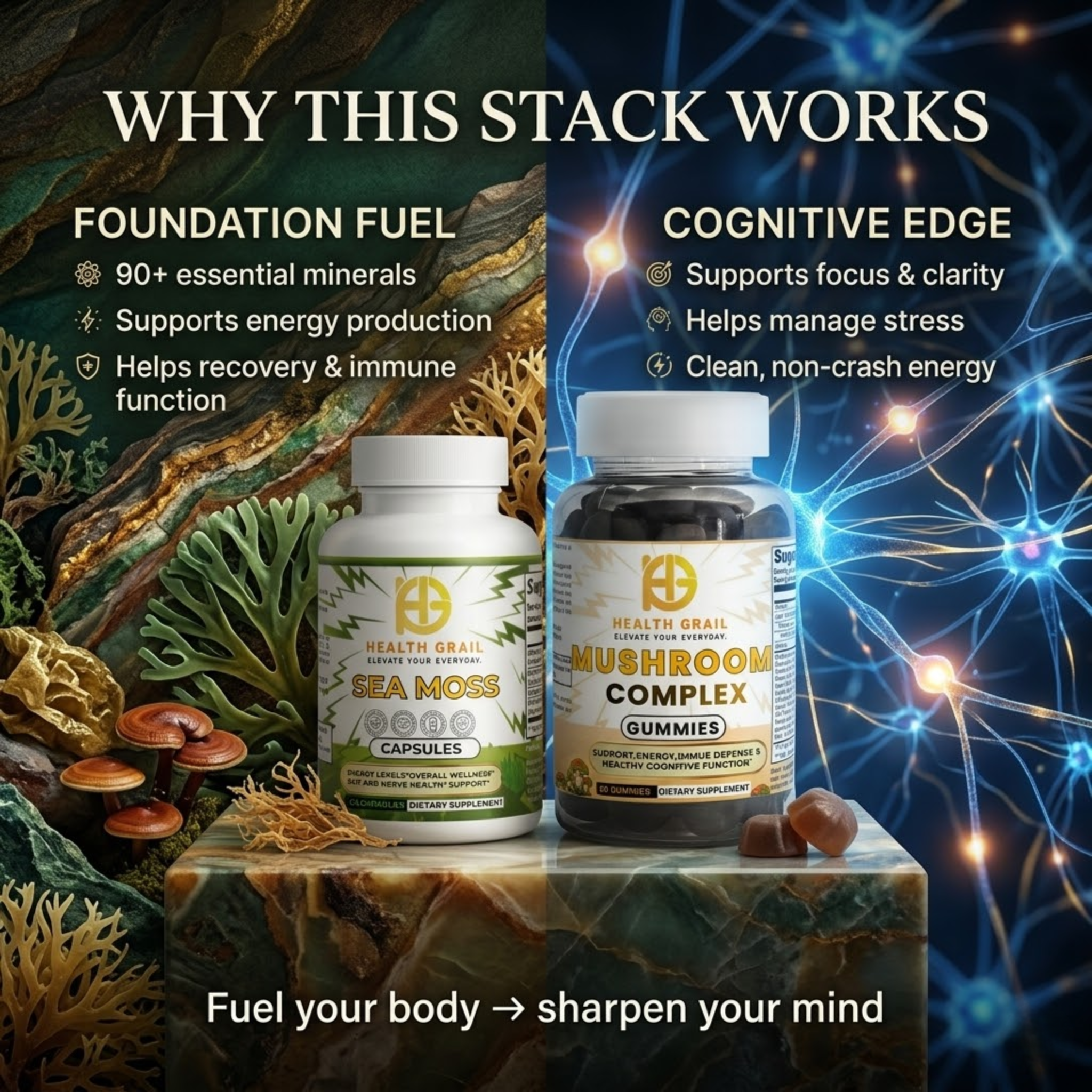 Focus & Daily Performance Stack